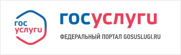 Электронное правительство. Госуслуги
